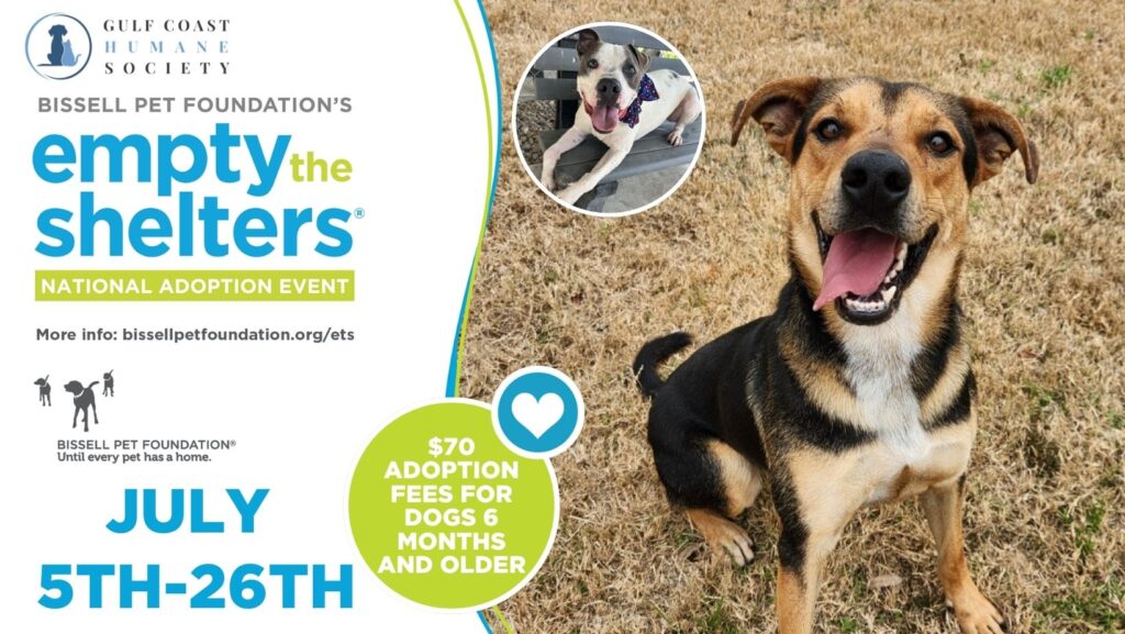 Empty The Shelters