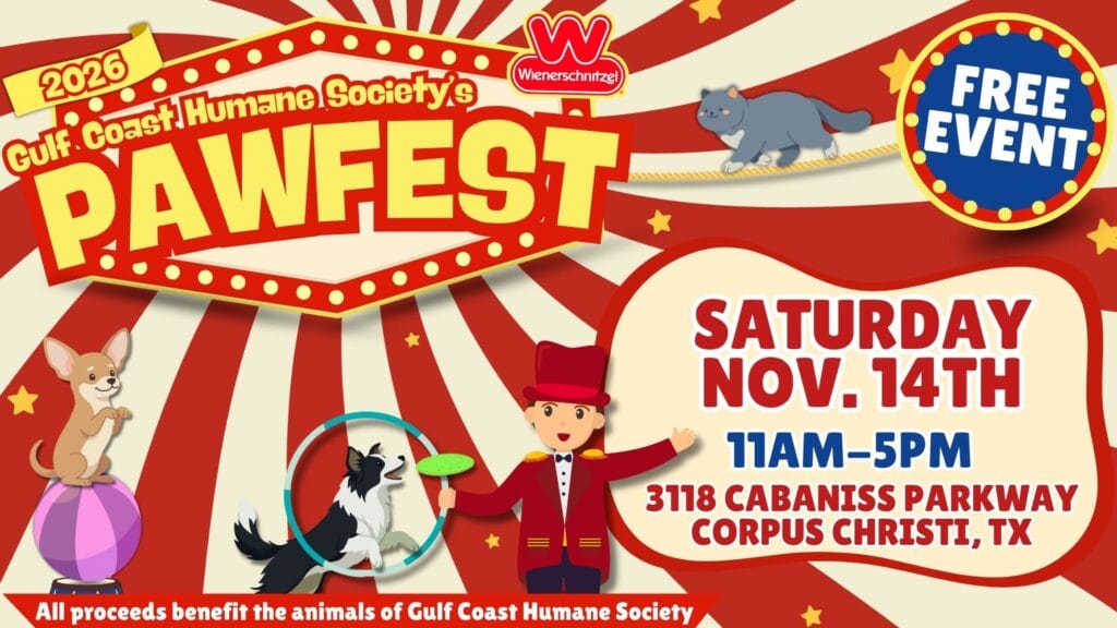 Pawfest 2026🐾🎪