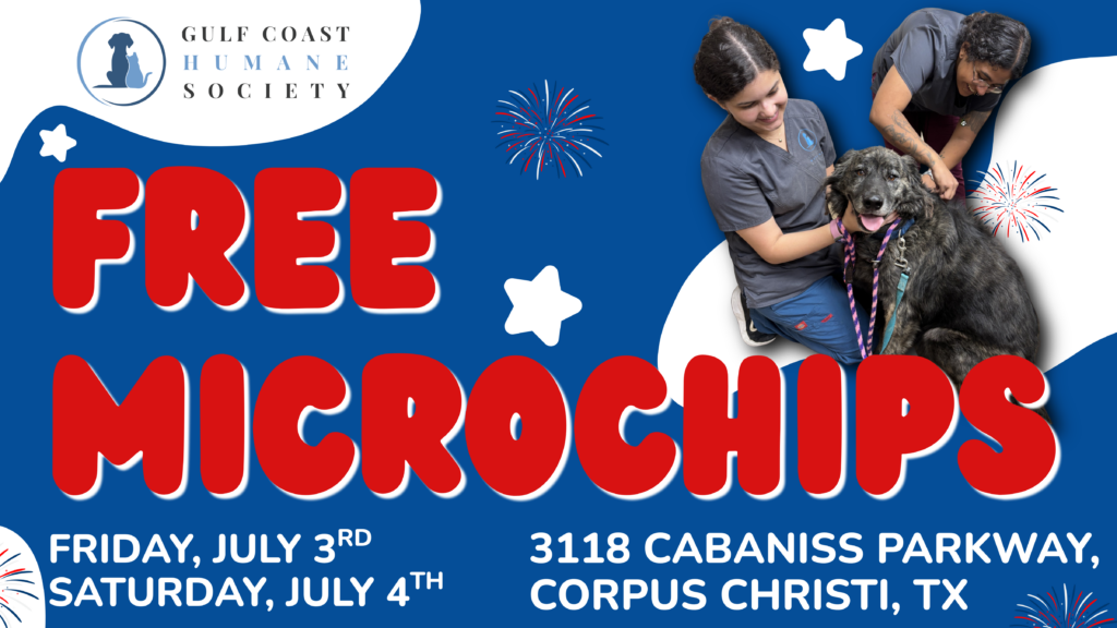 Free Microchip Clinic