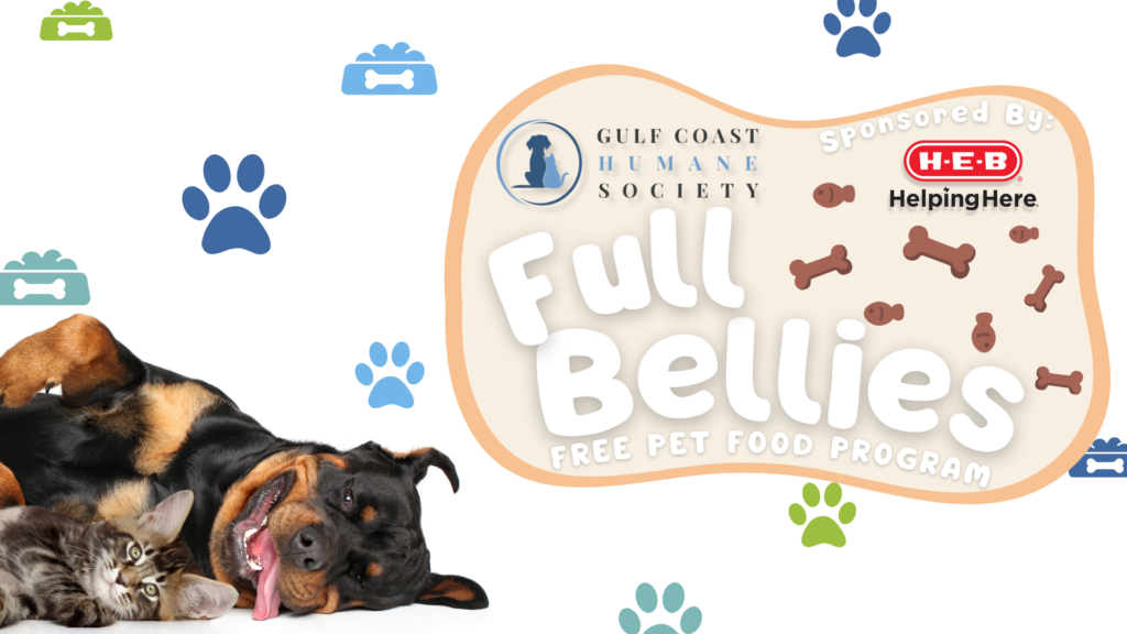 Full Bellies Free Pet Food Drive Through