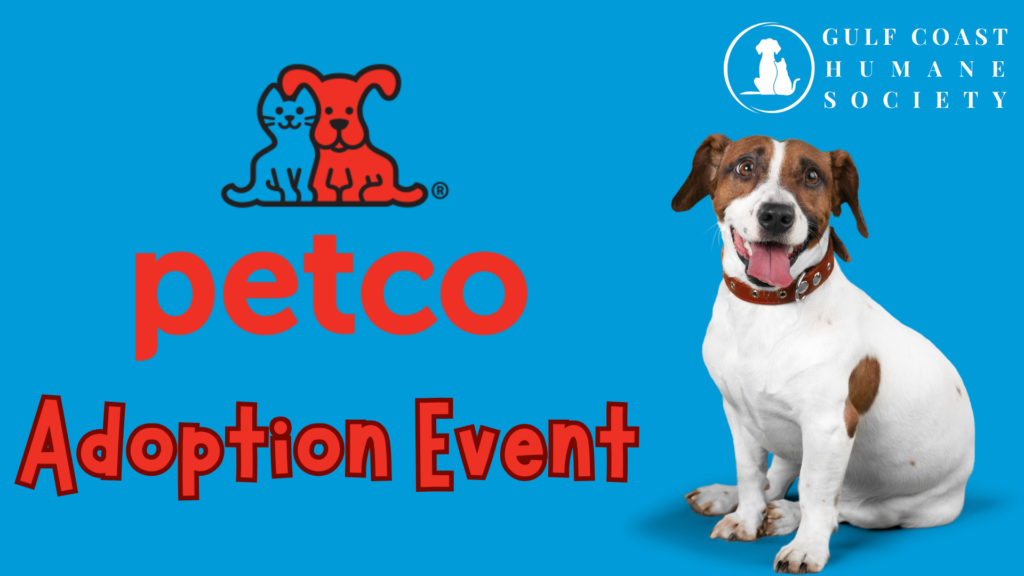 Petco Adoption Event