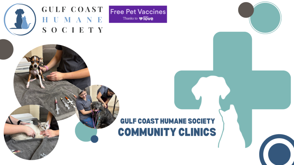 Community Clinic