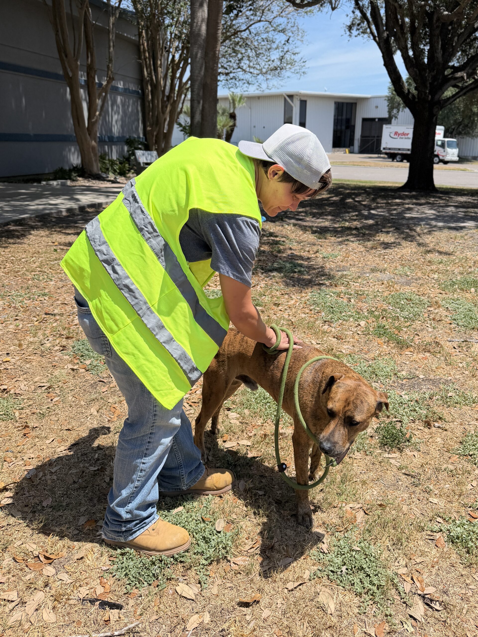 Court-Appointed Community Service