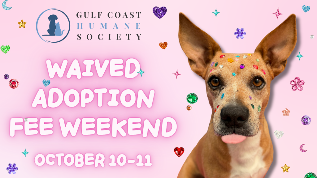 Waived Adoption Fee Weekend