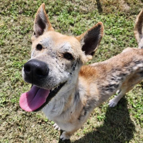Tahoe