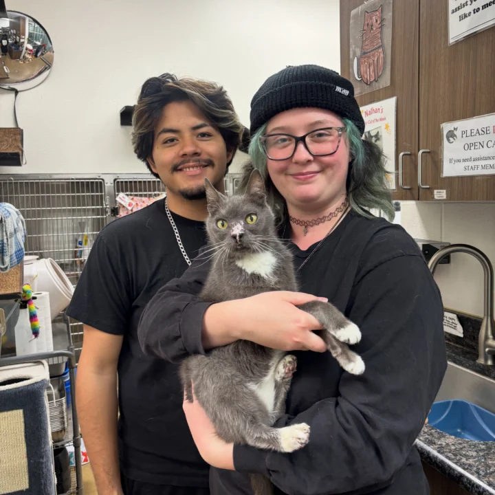 26 pets found their happily ever after this week! 🐾 No tricks, just treats here!&hellip;