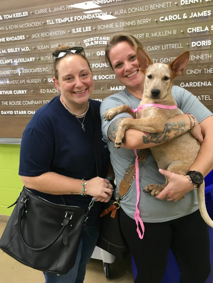 We are so excited to announce that we helped 66 pets find their forever homes&hellip;