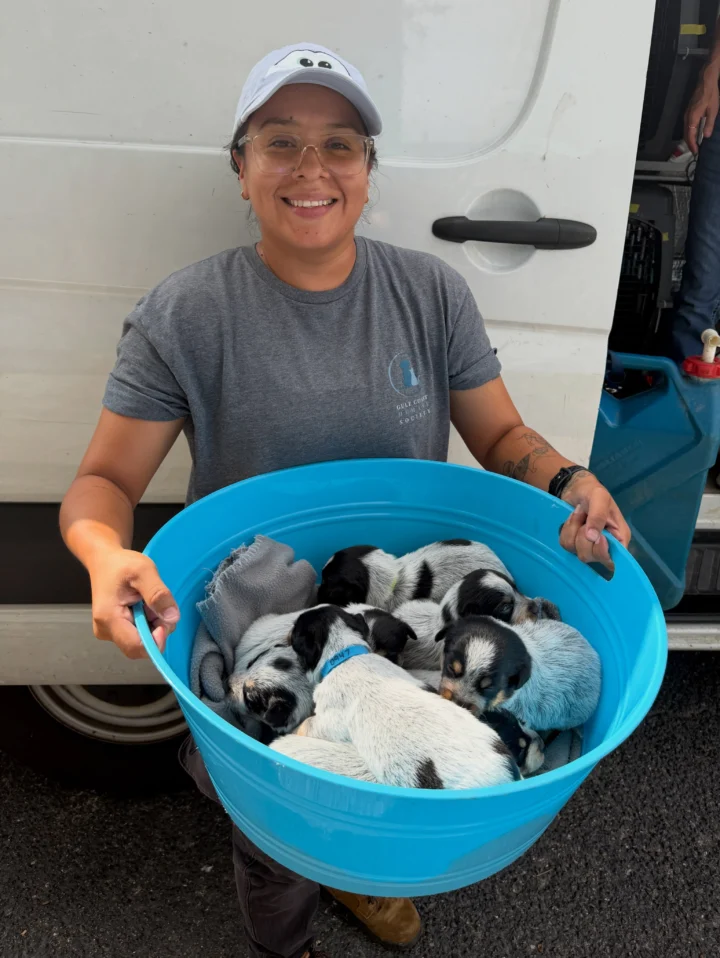 39 dogs got a one way ticket to their forever homes in September! 🚗🐾 So…&hellip;