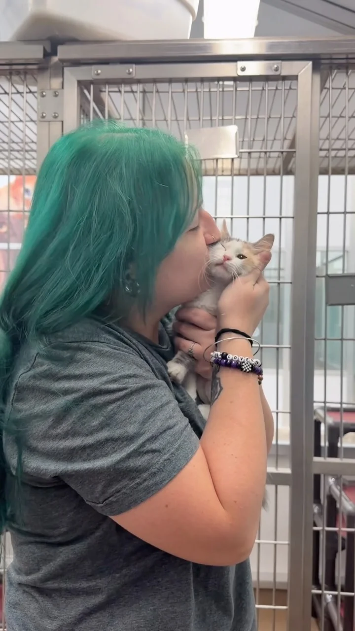 Be more specific next time😽 📍Corpus Christi, TX #adopt #explore #kitten #adorable #dogsofinstagram