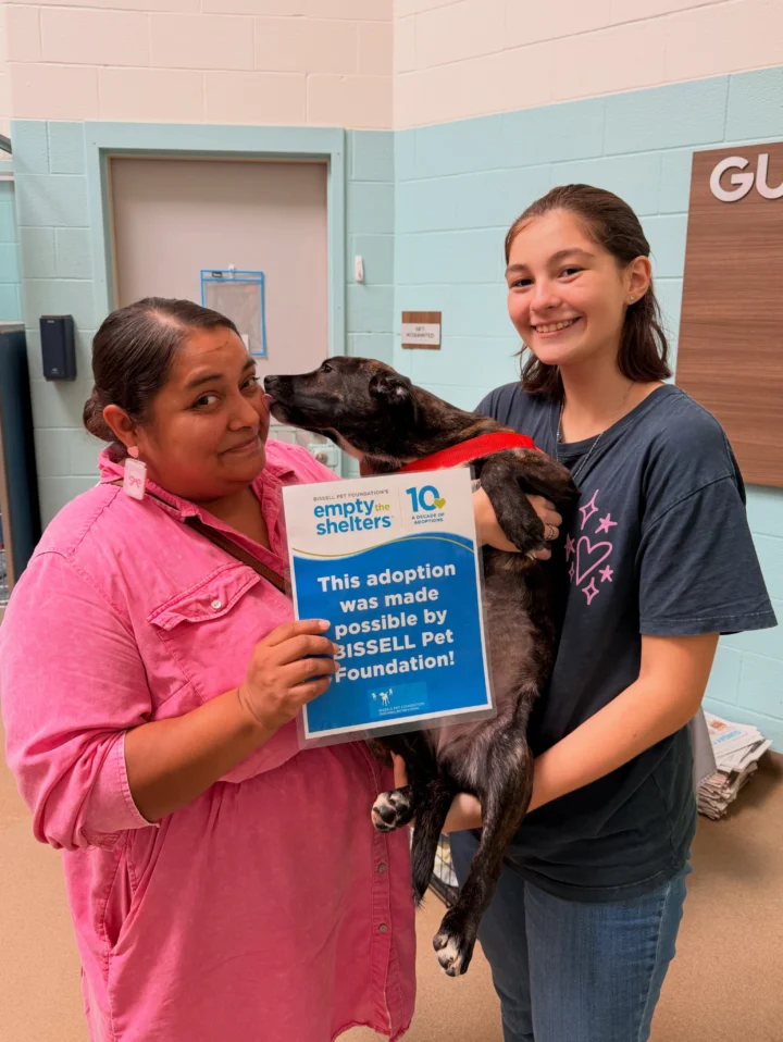 We had 47 pets go to their forever homes to end the month of September!&hellip;