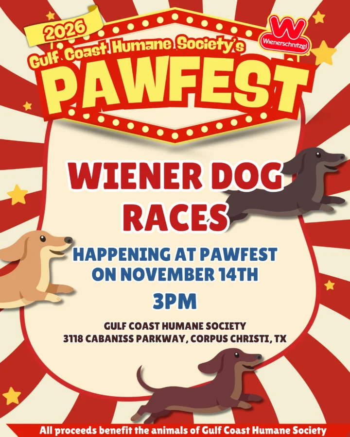 🎪 The fan-favorite Wiener Dog Race is back and ready to steal the show! 🌭🏁&hellip;