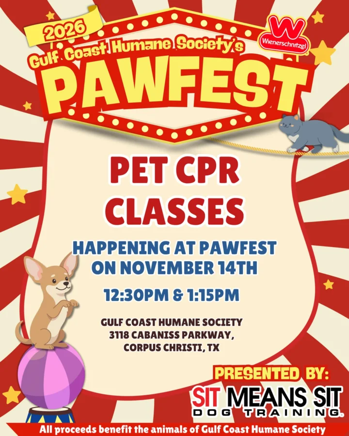 Join @sitmeanssitcorpuschristi at Pawfest for a FREE Intro to Pet CPR class! Learn the basics,&hellip;