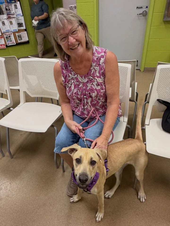 42 pets said goodbye to the shelter and hello to their forever homes! 🎉❤️ We&hellip;