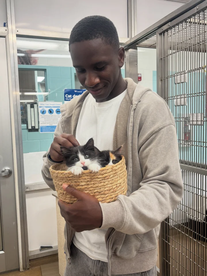 We are extremely excited to announce that 49 pets have found their forever homes! 🥰&hellip;