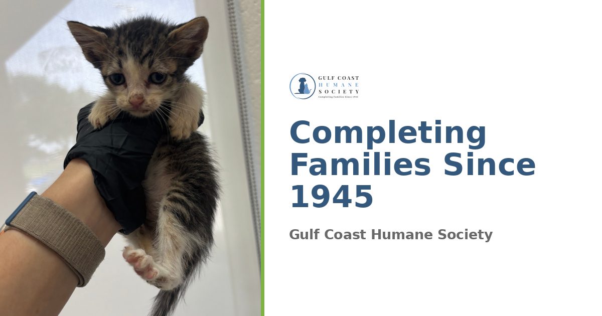 Gulf Coast Humane Society
